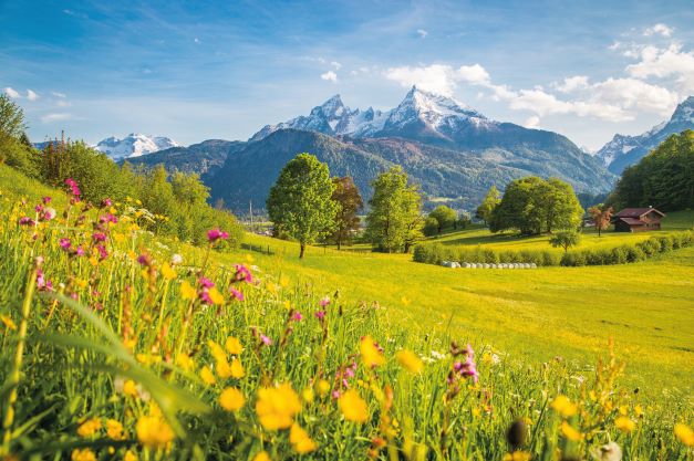 fotolia-210747337-bayern-berchtesgaden-m-deutschland-wiese-alpen-klein