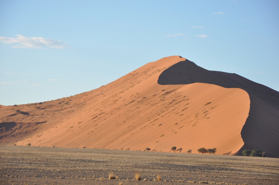 namib